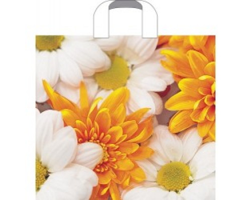 Пакет ПЭ с петлевой ручкой 38х40 40мкм В АССОРТИМЕНТЕ купить в Челябинске в Упакофф