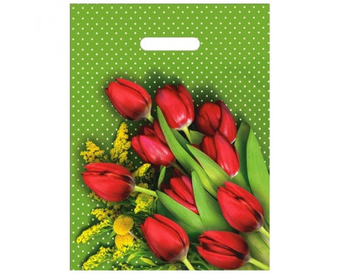 Пакет с вырубной ручкой 30*40 35мкм В АССОРТИМЕНТЕ (50/1000) ИнтерПак купить в Челябинске в Упакофф