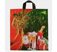 Пакет ПТЛ ПВД 60*50 70мкм НГ в ассортименте (уп 25/250)