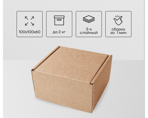 Коробка картонная самосборная 100*100*60мм СП ЧЛБ