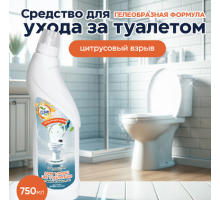 Чистящее средство для туалета Clean top 750мл гель в ассортименте ЧХЗ
