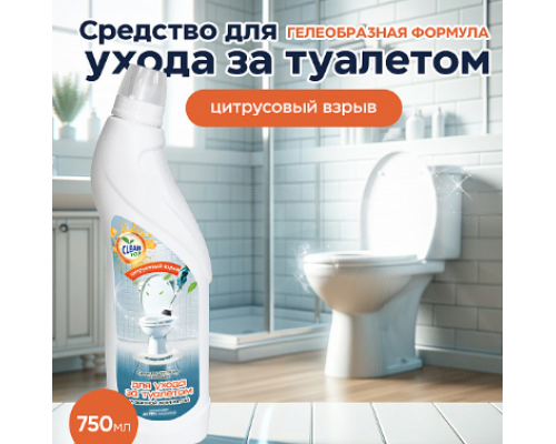 Чистящее средство для туалета Clean top 750мл гель в ассортименте ЧХЗ Чистящее средство для туалета Clean top 750мл гель в ассортименте ЧХЗ