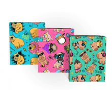 Коробка подарочная 19*15*9 КАПИБАРА