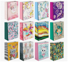 Пакет подарочный бумажный 18*24*8,5 Микс рисунок в ассортименте