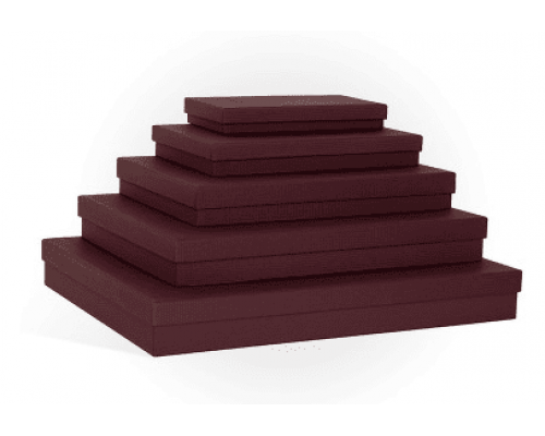 Коробка подарочная 350*250*45 тиснение ЛЕН бодовый