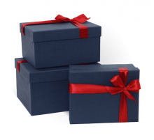 Коробка подарочная 23*19*13 с бантом тиснение РОГОЖКА темно-синий моно-красный бант