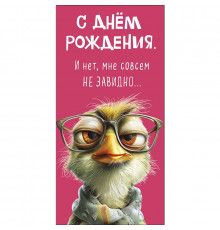 Конверт для денег 80*167мм С Днем Рождения! Не завидно