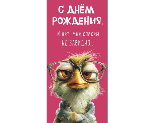 Конверт для денег 80*167мм С Днем Рождения! Не завидно