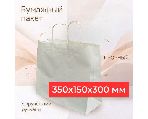 Пакет бумажный с круч. ручками 350*150*300 крафт горизонтальный